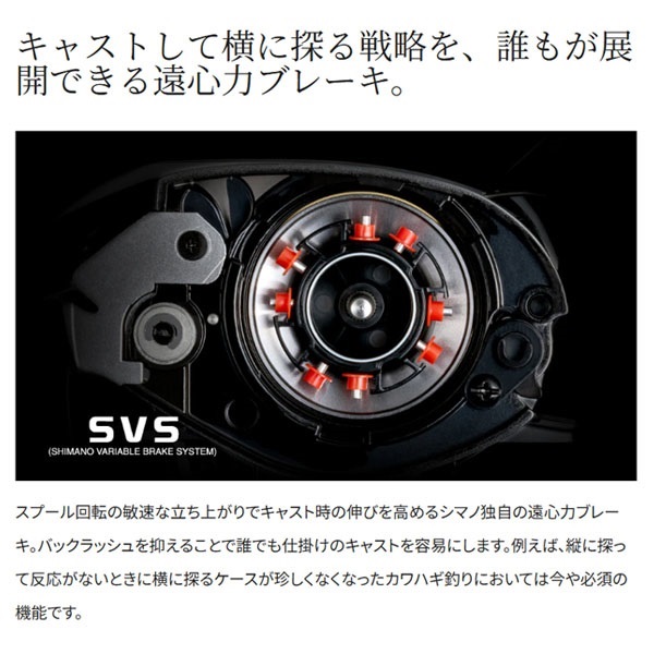 25 スティーレ